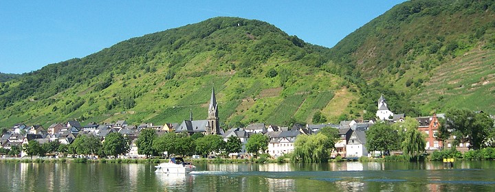 Sankt Aldegund an der Mosel